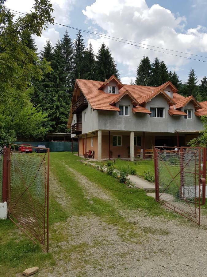 Отель Cabana Merisor Пояна-Мэрулуй Экстерьер фото
